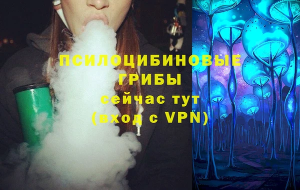 хмурый Балабаново
